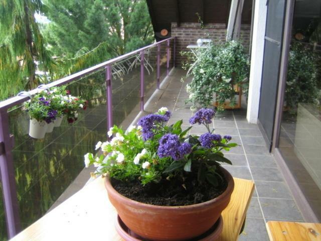 Ferienwohnung Virginija Ditscheid Habitación foto
